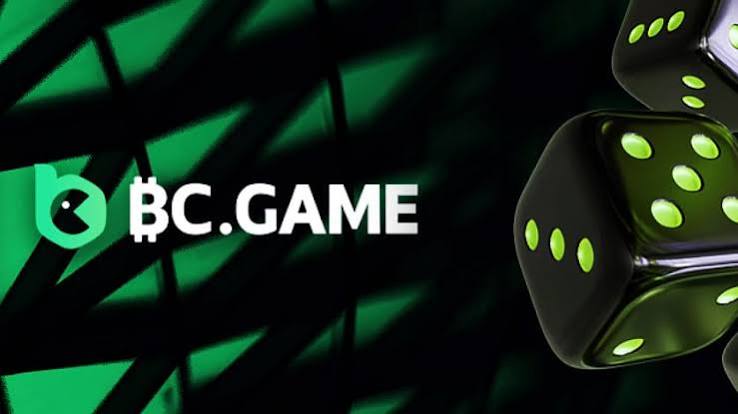 A Comprehensive Guide to the BC.Game Login Process